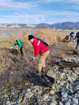 IMG_20240108_205059_485
