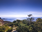 DJI_0080