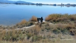 IMG-20251017-WA0017