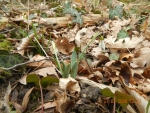 04_DSCN9581