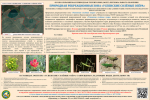 157-01 ПРЗ Успенские соленые озера