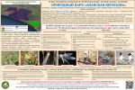253-01 ППРК Анапская пересыпь_дюны
