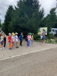 IMG-20230712-WA0013