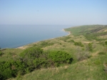 Таманский