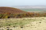 14 Бужор_2009_0281