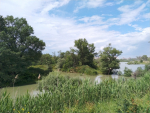 IMG_20210610_134513
