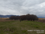 photo1679484518 (1)