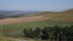 DSCF2180