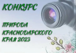 КОНКУРС копия
