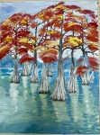 image-14-11-25-12-47-10