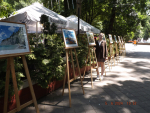 DSCF0078