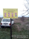 пе