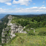 IMG_2020