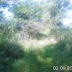 фото 3