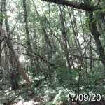 фото 3