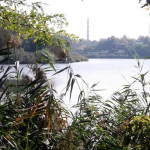 DSCF1973