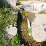 P1000150