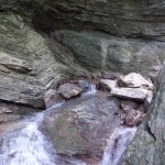 DSCN0409