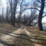 023 Лесопарк Приречный 1