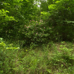 гол5