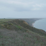 DSC02954
