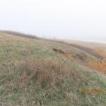 IMG_5423
