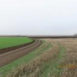 IMG_6358
