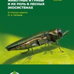 Чтения Катаева_2020_Обложка